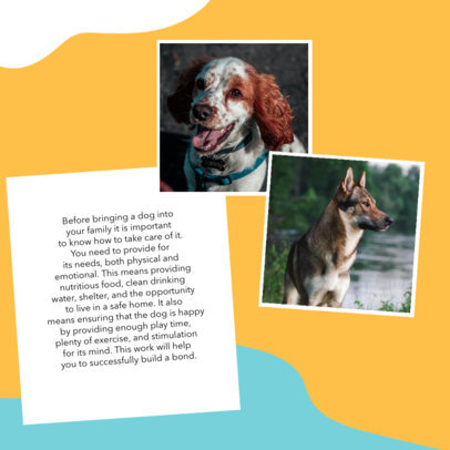 Instagram Post Creator With Relevant Info About Dogs