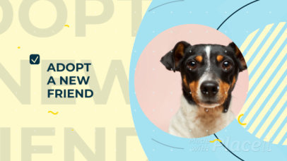 Slideshow Video Generator Featuring an Ad for an Animal Shelter 3494a-5564-el1
