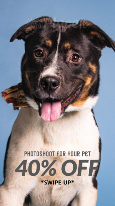 Instagram Story Video Template for a Pet Photoshoot  Promo 945j 5590