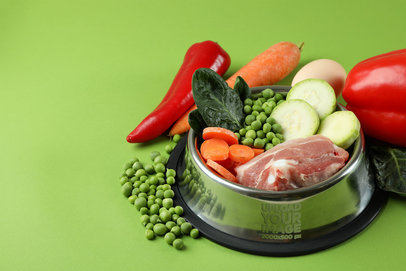 Dog Bowl Mockup Featuring Some Vegetables and Meat