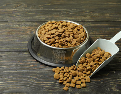 Dog Bowl Mockup Featuring Some Kibbles