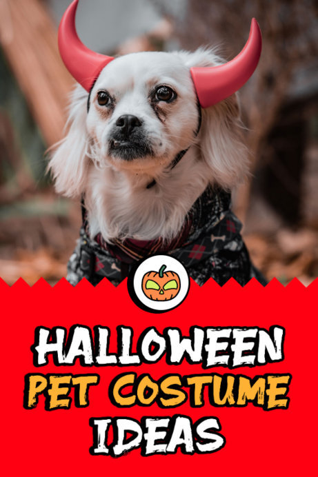 Halloween-Themed Pinterest Pin Creator for Pet Costume Ideas