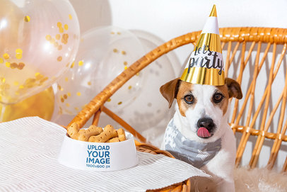 Dog Bowl Mockup Featuring a Dog at a Birthday Party m27730 r-el2