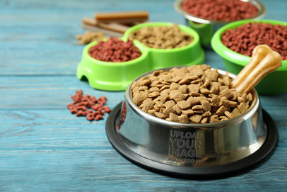 Dog Bowl Mockup Featuring Multiple Bowls with Kibble m27860 r-el2