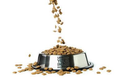 Mockup of a Dog Bowl Featuring Falling Dry Dog Food m27859 r-el2