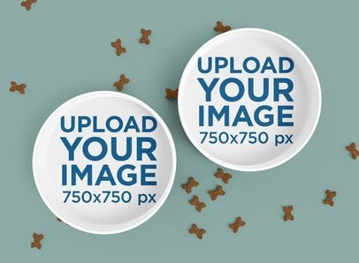 Mockup of Two Dog Bowls Placed on a Customizable Surface Featuring Dog Croquettes 5435 el1