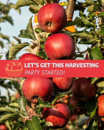 Instagram Post Maker for a Thanksgiving Apple Harvesting Event 