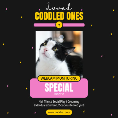 Cat-Themed Instagram Post Creator for a Pet Daycare Business