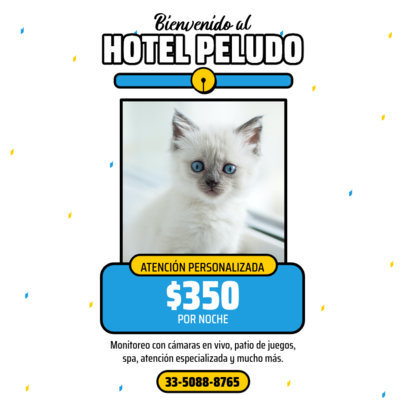 Instagram Post Maker Featuring a Kitten for a Daycare 