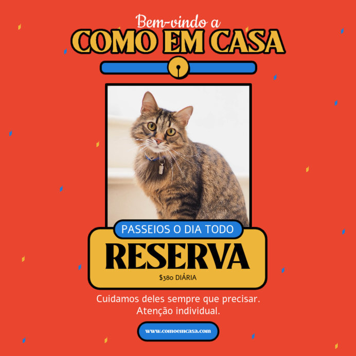 Pet Daycare Instagram Post Generator with a Cat Photo