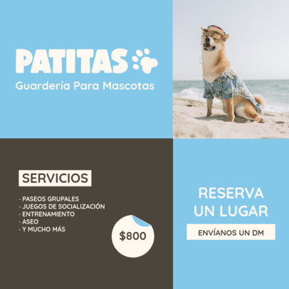 Promotion Instagram Post Creator for a Pets Daycare Business