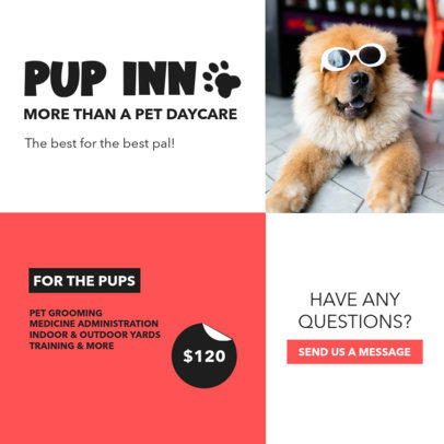Instagram Post Creator to Promote a Pet Daycare Service