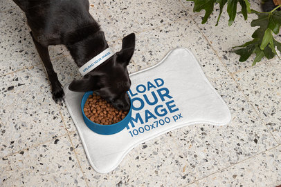 Pet Food Mat Mockup Featuring a Dog Wearing a Collar m30131