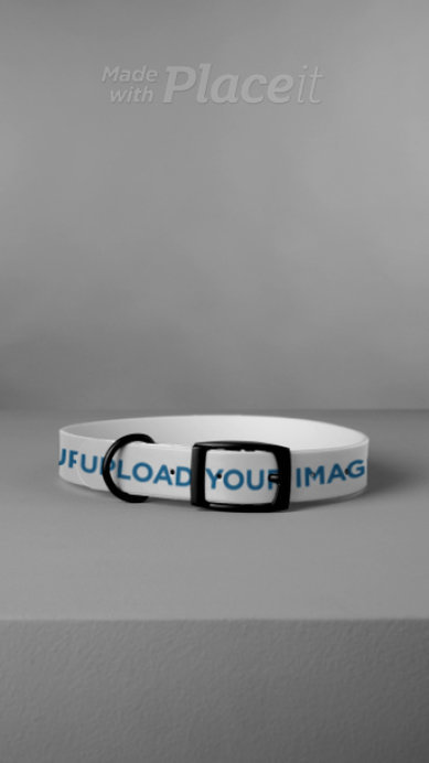 Video of a Pet Collar Placed on a Gray Surface