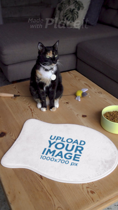 Pet Food Mat Video Featuring a Cute Cat Sitting on a Wooden Table 