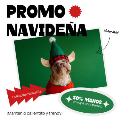 Instagram Post Template for a Pet Shop Christmas Promo 5742a-el1
