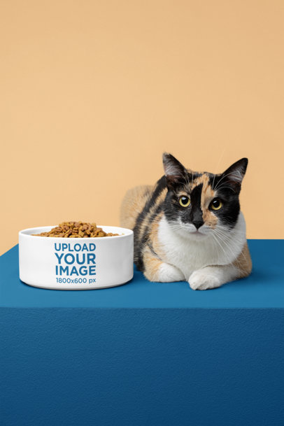 Pet Bowl Mockup Featuring a Cat 
