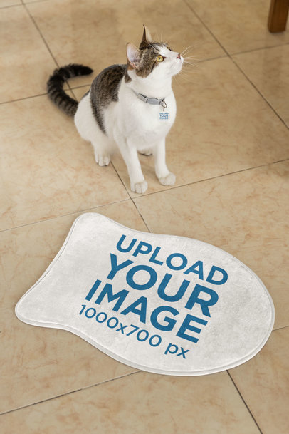 Pet Food Mat Mockup Featuring a Cute Cat With a Pet Tag m30083