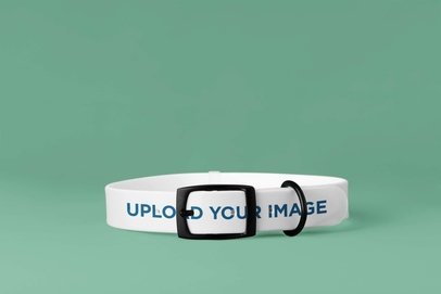 Mockup of a Pet Collar Placed Over a Colorful Surface m30105