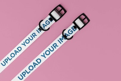 Mockup of Two Dog Collars Placed over a Solid Surface