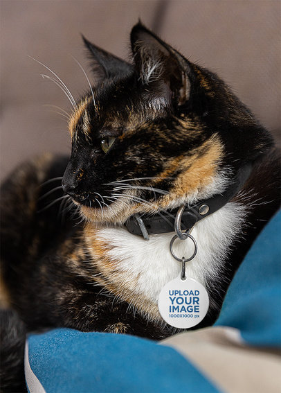 Pet Tag Mockup Featuring an Adorable Cat Resting on a Couch