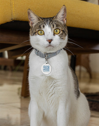 Rounded Pet Tag Mockup Featuring a Domesticated Cat m30080