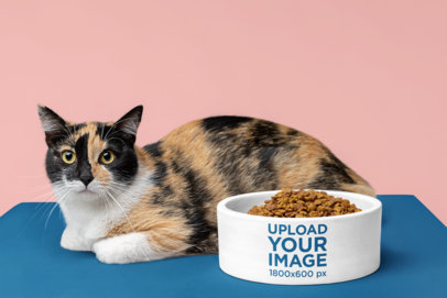 Mockup of a Cat Resting Near Its Dog Bowl Full of Food