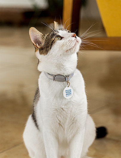 Pet Tag Mockup Featuring a Cute Kitty Sitting on the Floor m30078