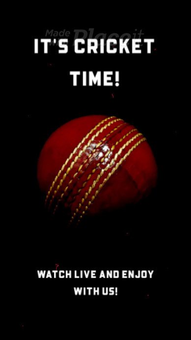 Cricket-Themed Instagram Story Video Maker to Promote a Live Stream Event