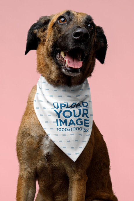 Mockup of a Sublimated Bandana Featuring an Adorable Dog