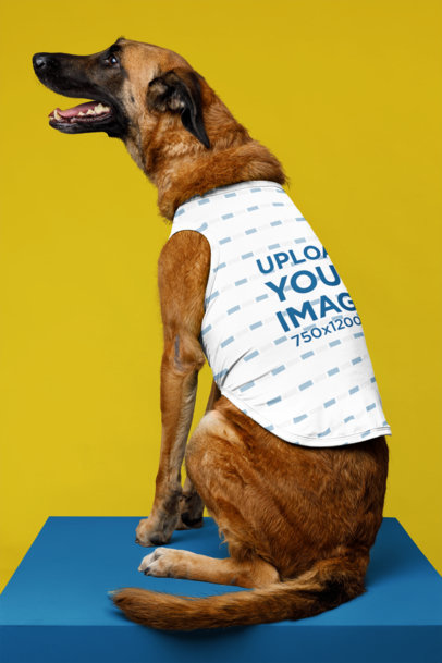 Sublimated Pet Tank Top Mockup Featuring a Happy Dog at a Studio