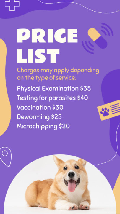 Instagram Story Creator With a Pet Theme for a Small Business