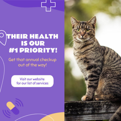 Instagram Post Creator for a Vet Business Featuring a Cat Photo