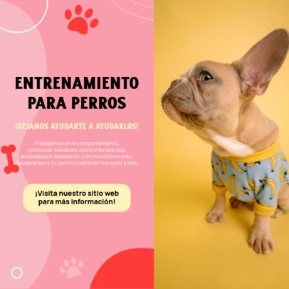 Instagram Post Template for a Dog Training Business Featuring a Service Info