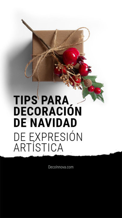 Decoration Instagram Story Template With Tips for an Artistic Expression Christmas 6172o
