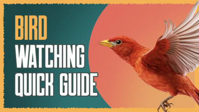 YouTube Thumbnail Maker for a Birdwatching-Themed Vlog with a Canary Graphic