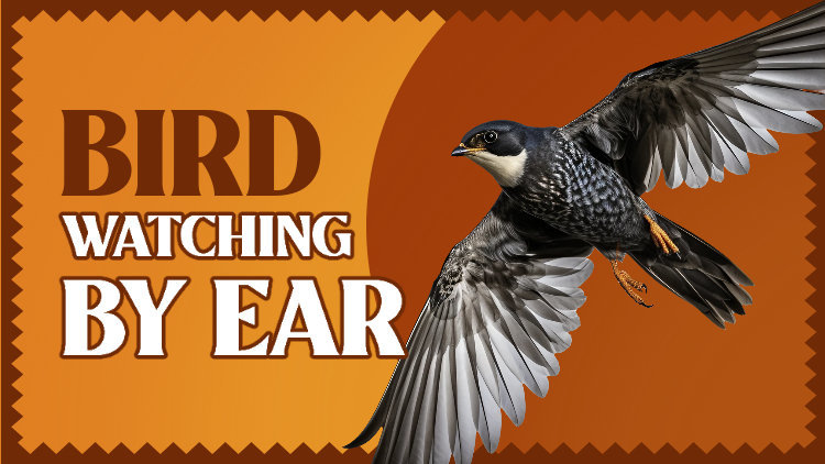 Placeit - YouTube Thumbnail Generator Featuring a Flying Bird for a ...