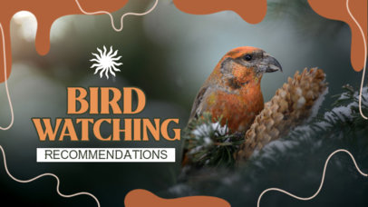 YouTube Thumbnail Maker for Professional Birdwatching Recommendations