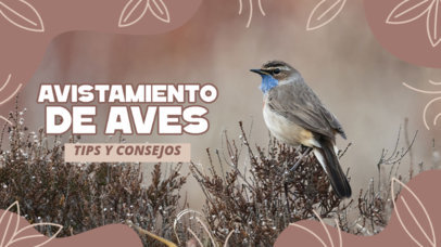 YouTube Thumbnail Template for a Birding Tips-Themed Vlog