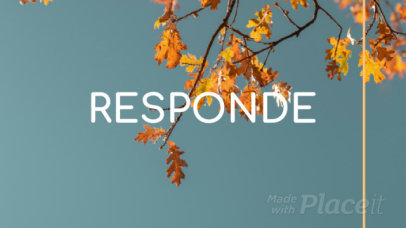 Intro Video Generator for a Stress Awareness Recommendation1168g 8077