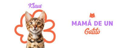 Mug Design Maker Featuring a Kitten and a Warm Phrase