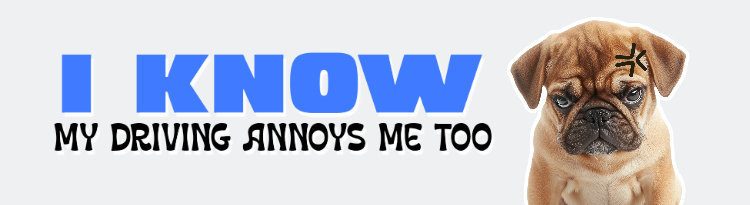 Funny Magnet Design Generator With a Sad Puppy Graphic and a Driving Joke
