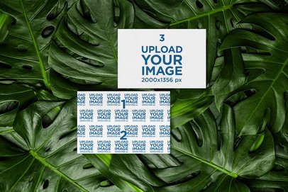 Mockup of an Envelope and a Postcard Lying on a Botanical-Themed Background