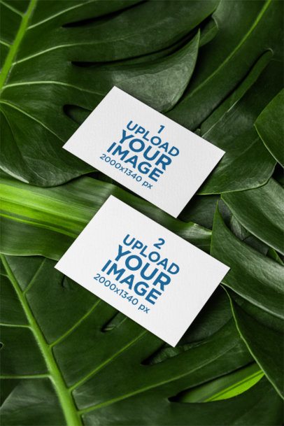 Mockup Featuring Two Business Cards Lying on a Leaf-Themed Background