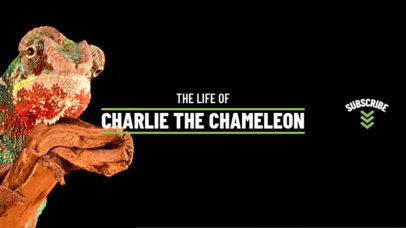 YouTube Banner Maker for Animal Channels