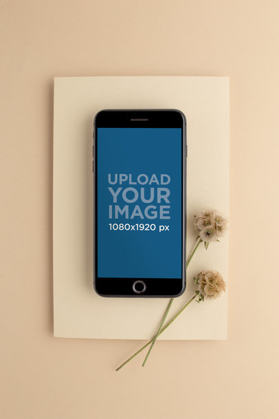 Space Gray iPhone 8 Plus Mockup on a Beige Cardboard with Dried Flowers 