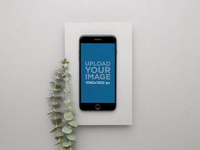 Space Gray iPhone Mockup Lying on Gray Cardboard with a Decorative Leaf Plant 