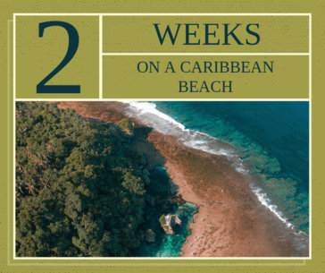 Travel Tips Facebook Post Maker