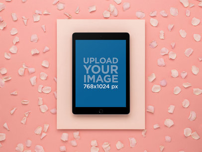 Space Gray iPad Mockup in a Salmon Pink Studio Set 22556