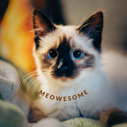 Cat Phone Grip Template